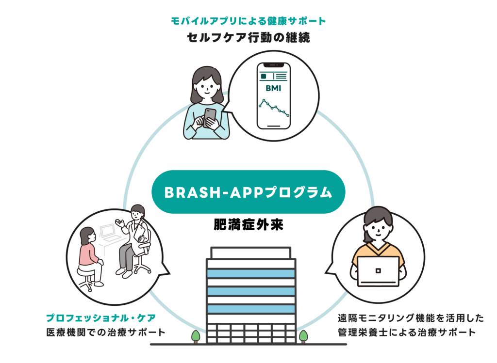 BRASH-APPプログラムのイメージ図