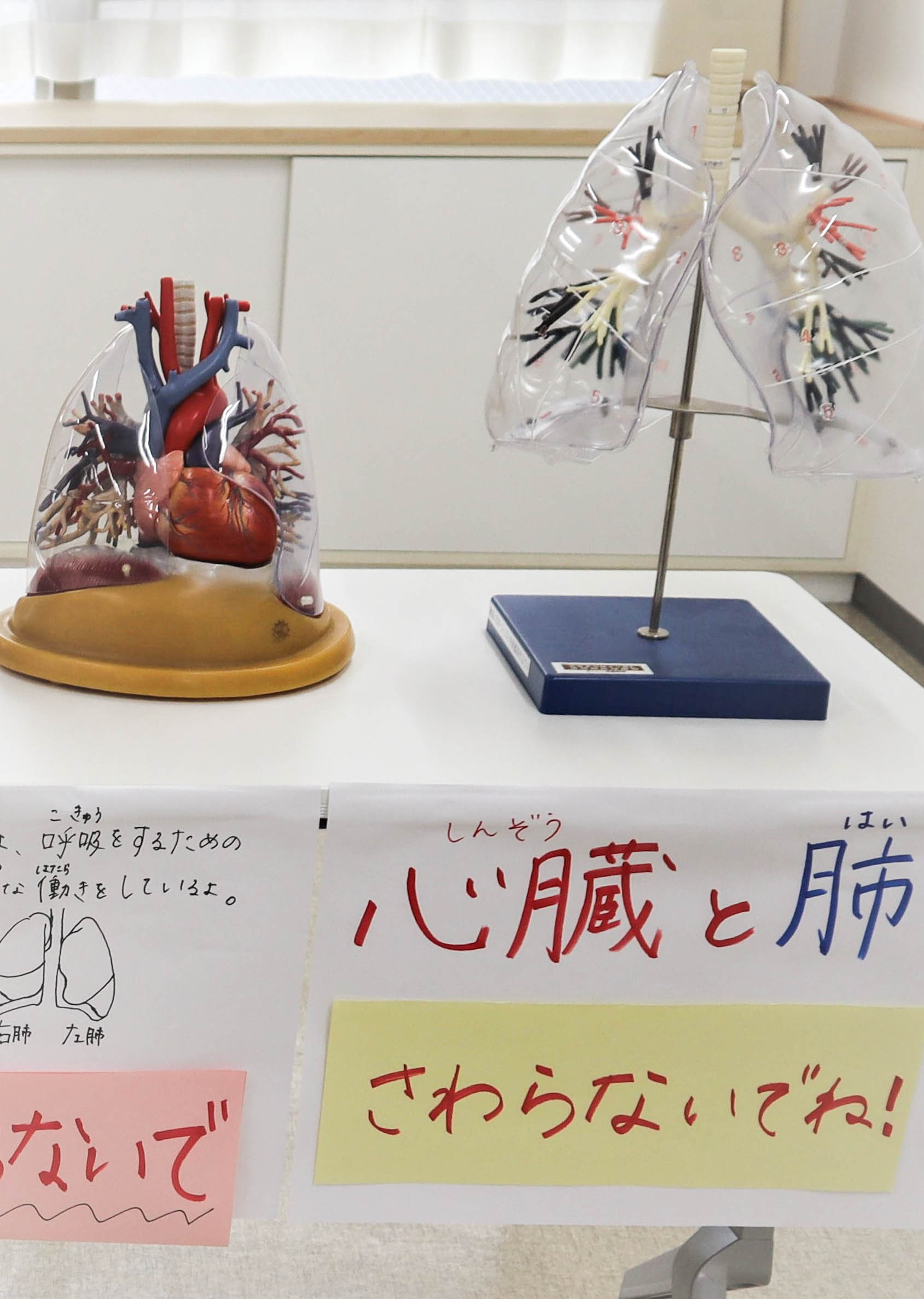 K52：健康について考えよう